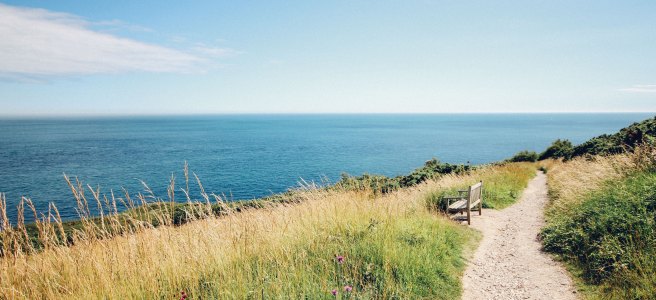 Photo by Rachel Lees on Unsplash